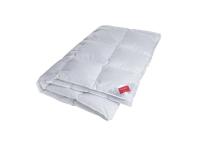 Silver Down goose down comforter from Hefel
